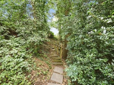Picture 42